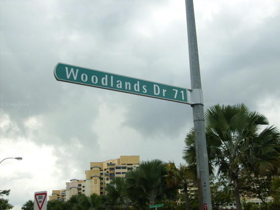 Woodlands Drive 71 #72732